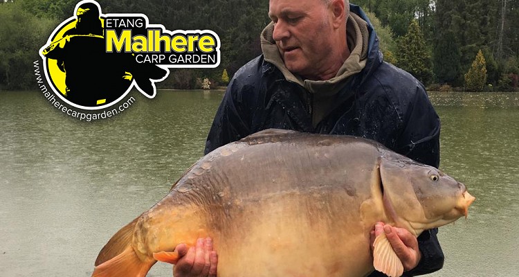 Malhere Carp