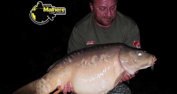 Malhere Carp