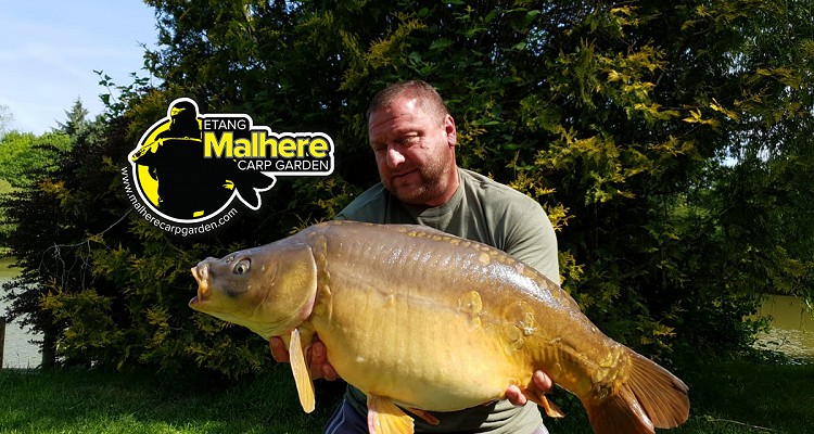 Malhere Carp