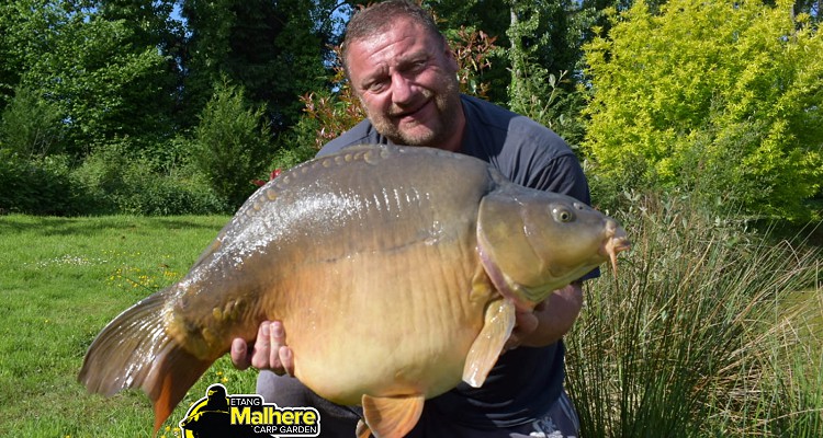 Malhere Carp