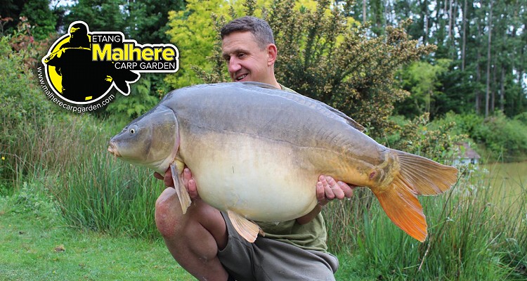Malhere Carp