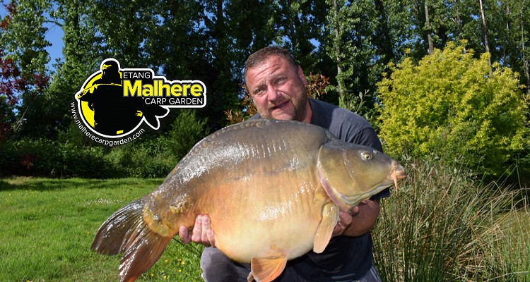 Malhere Carp