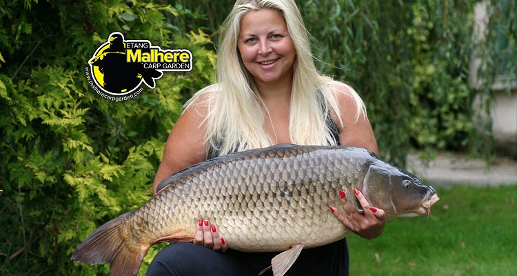 Malhere Carp