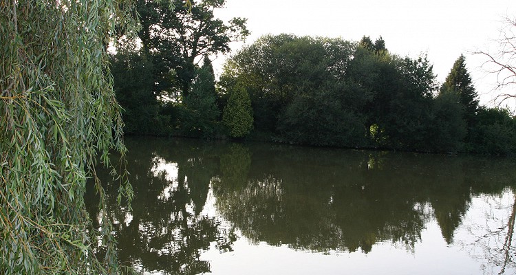 Malhere Carp Garden