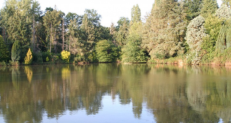 Malhere Carp Garden