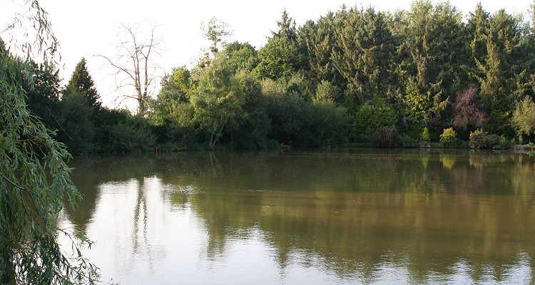 Malhere Carp Garden