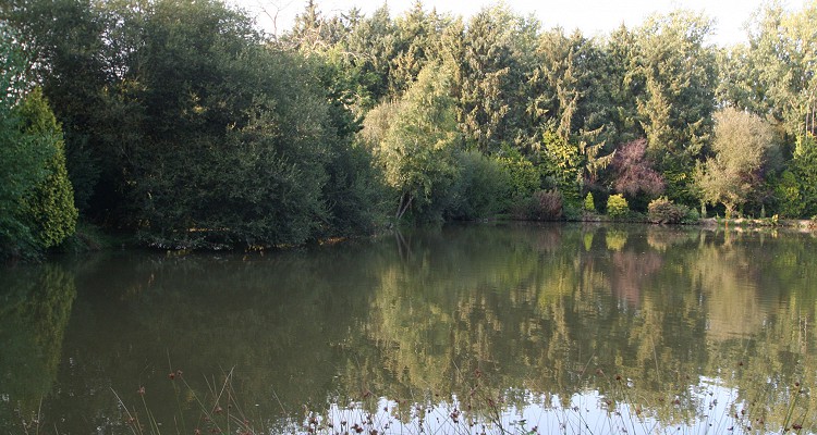 Malhere Carp Garden