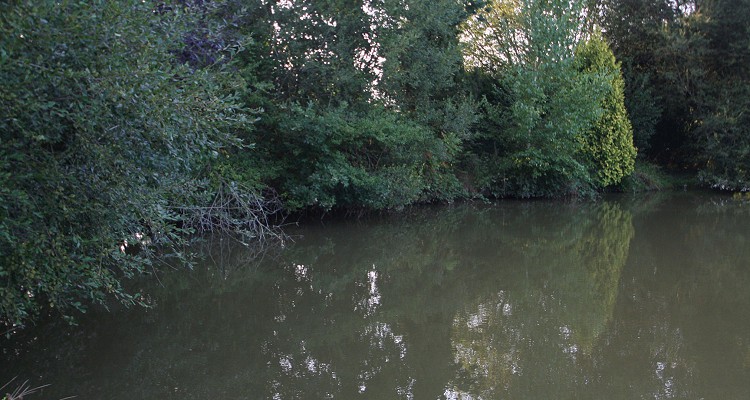 Malhere Carp Garden