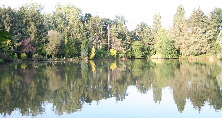 Malhere Carp Garden