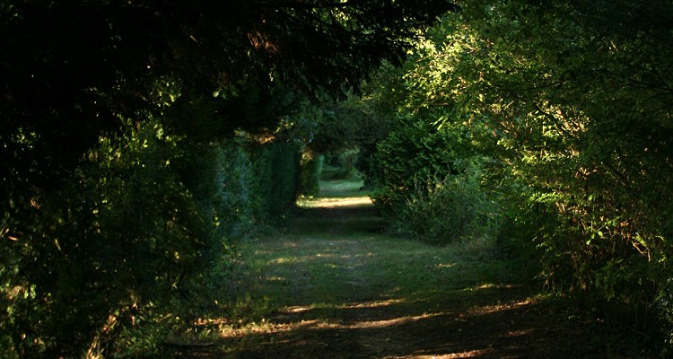 Malhere Carp Garden