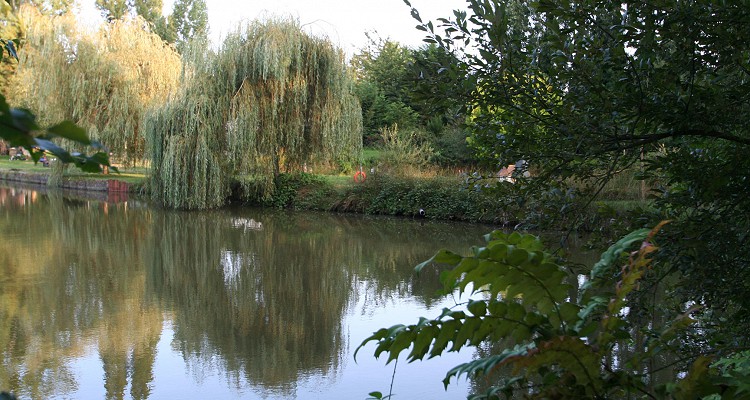 Malhere Carp Garden