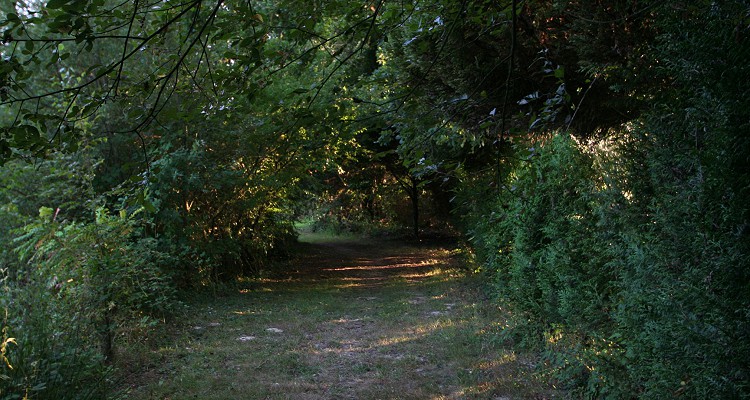 Malhere Carp Garden