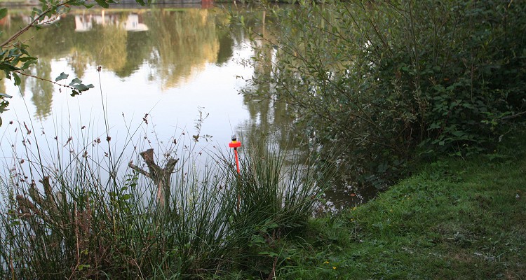 Malhere Carp Garden