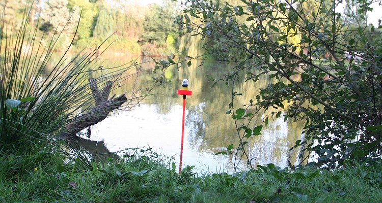 Malhere Carp Garden