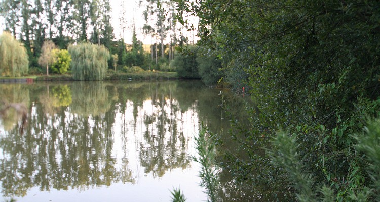 Malhere Carp Garden