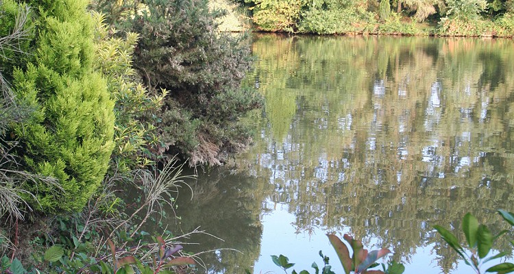 Malhere Carp Garden