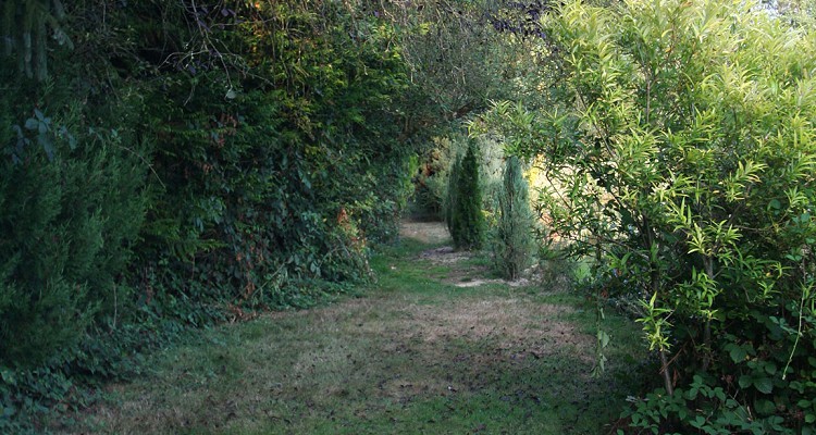 Malhere Carp Garden