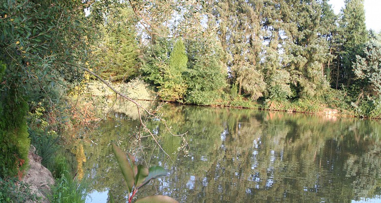 Malhere Carp Garden