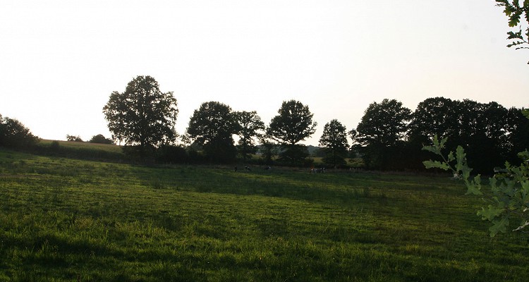 Malhere Carp Garden