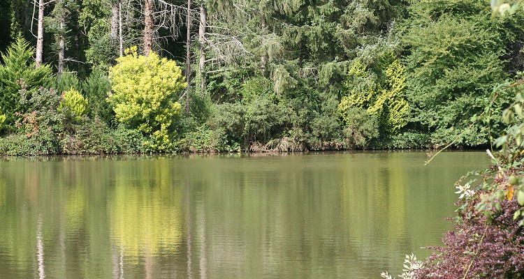 Malhere Carp Garden