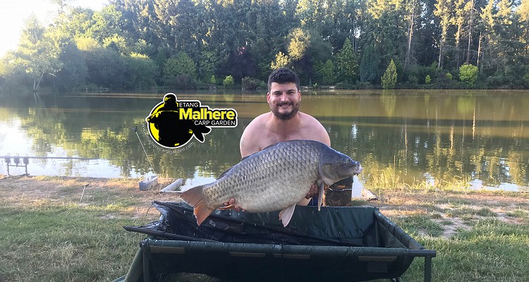 Malhere Carp