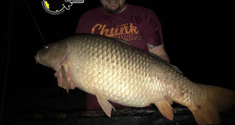 Malhere Carp