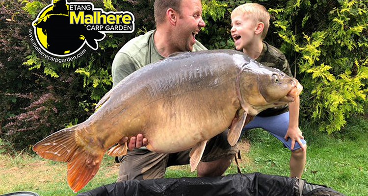Malhere Carp