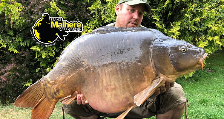 Malhere Carp