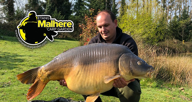 Malhere Carp