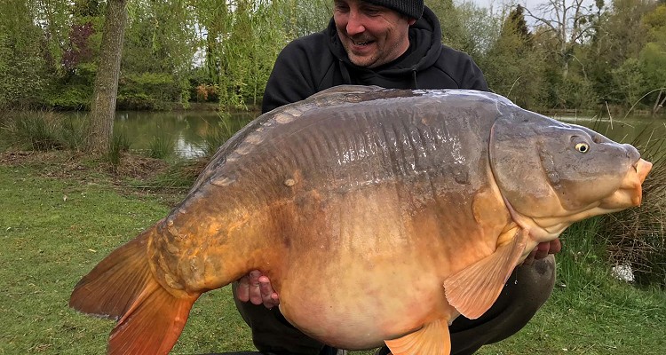 Malhere Carp