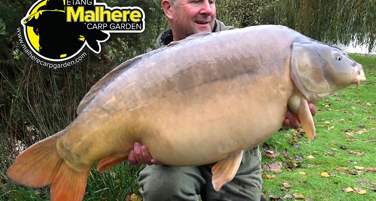 Malhere Carp