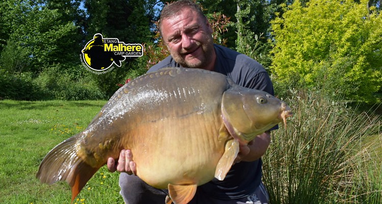 Malhere Carp