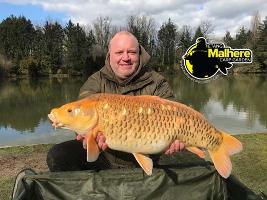 Malhere Carp
