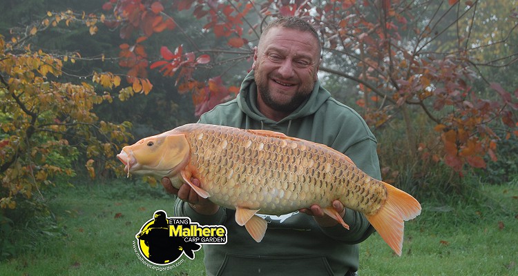 Malhere Carp