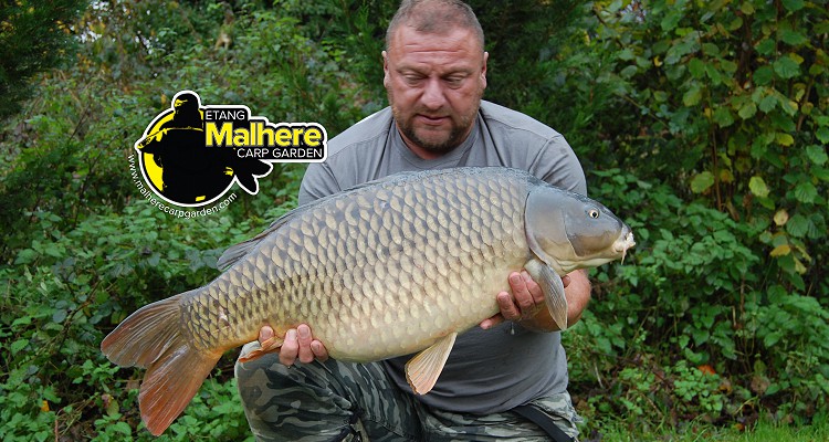 Malhere Carp