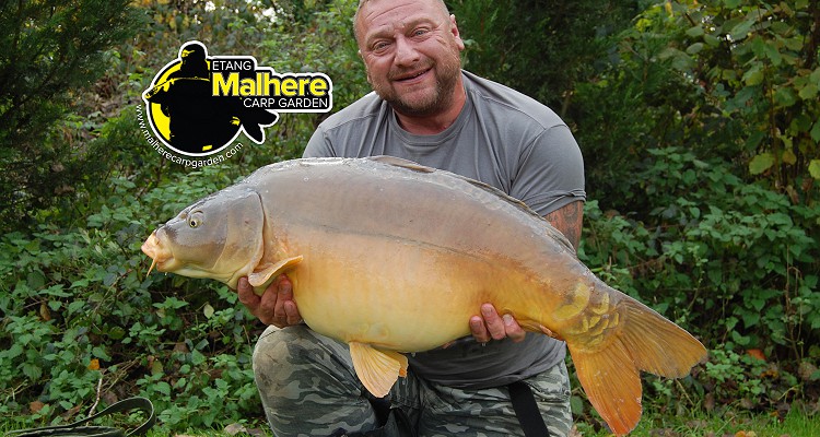 Malhere Carp