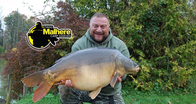 Malhere Carp