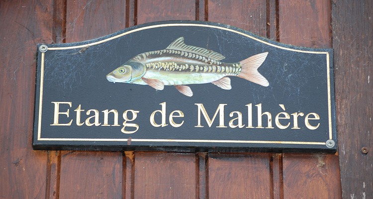 Malhere Carp Garden
