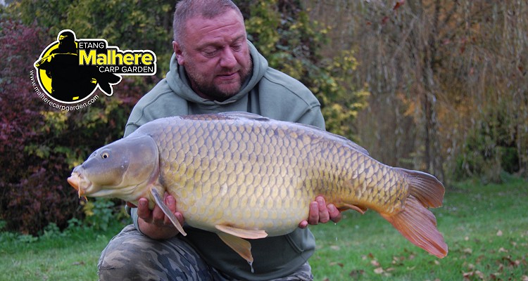 Malhere Carp
