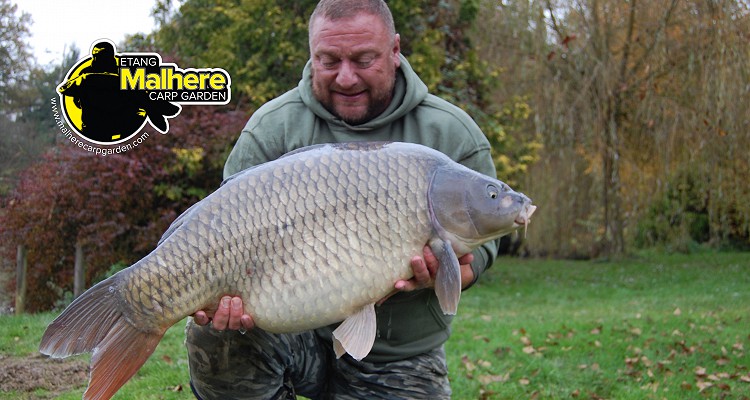Malhere Carp